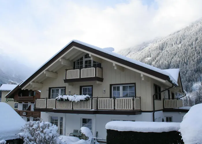 Daire Domizil Zillertal